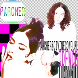 IDFWDB (feat. Divinecowgurl) Parcher