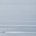 Currents