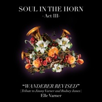 Wanderer Revised (Tribute to Jimmy Varner and Rodney James) - Single - Soul In The Horn & Elle Varner