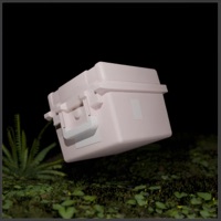 B-Seiten aus Fleisch - Calman