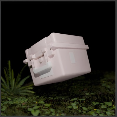 B-Seiten aus Fleisch