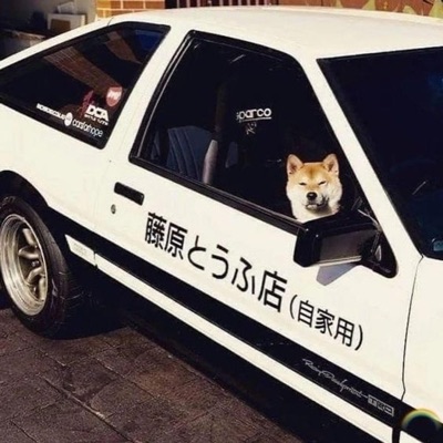 Shiba Phonk - Single