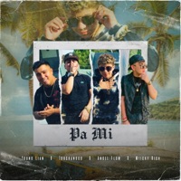 Pa mi (feat. Miickyrich, Touchandgo & Young Lian) - Single - Angel Flow