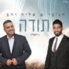 תודה ווקאלי - Single