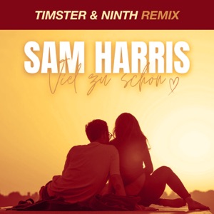 Viel Zu Schön (Timster & Ninth Remix) - Single