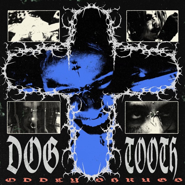 Dogtooth