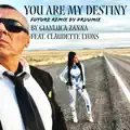 You Are My Destiny
