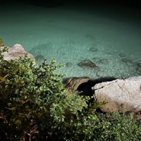 Night Lagoon - Single - Elk Beats & olea