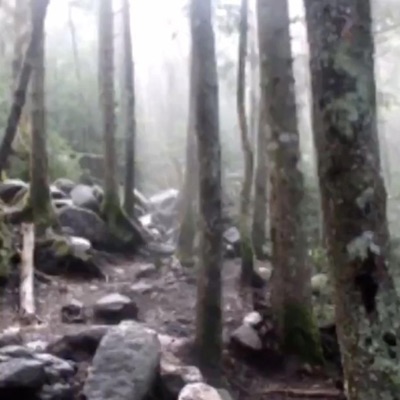 TRY NUMBER 2 TO GET MY ACC BACK (feat. seldai) - Single