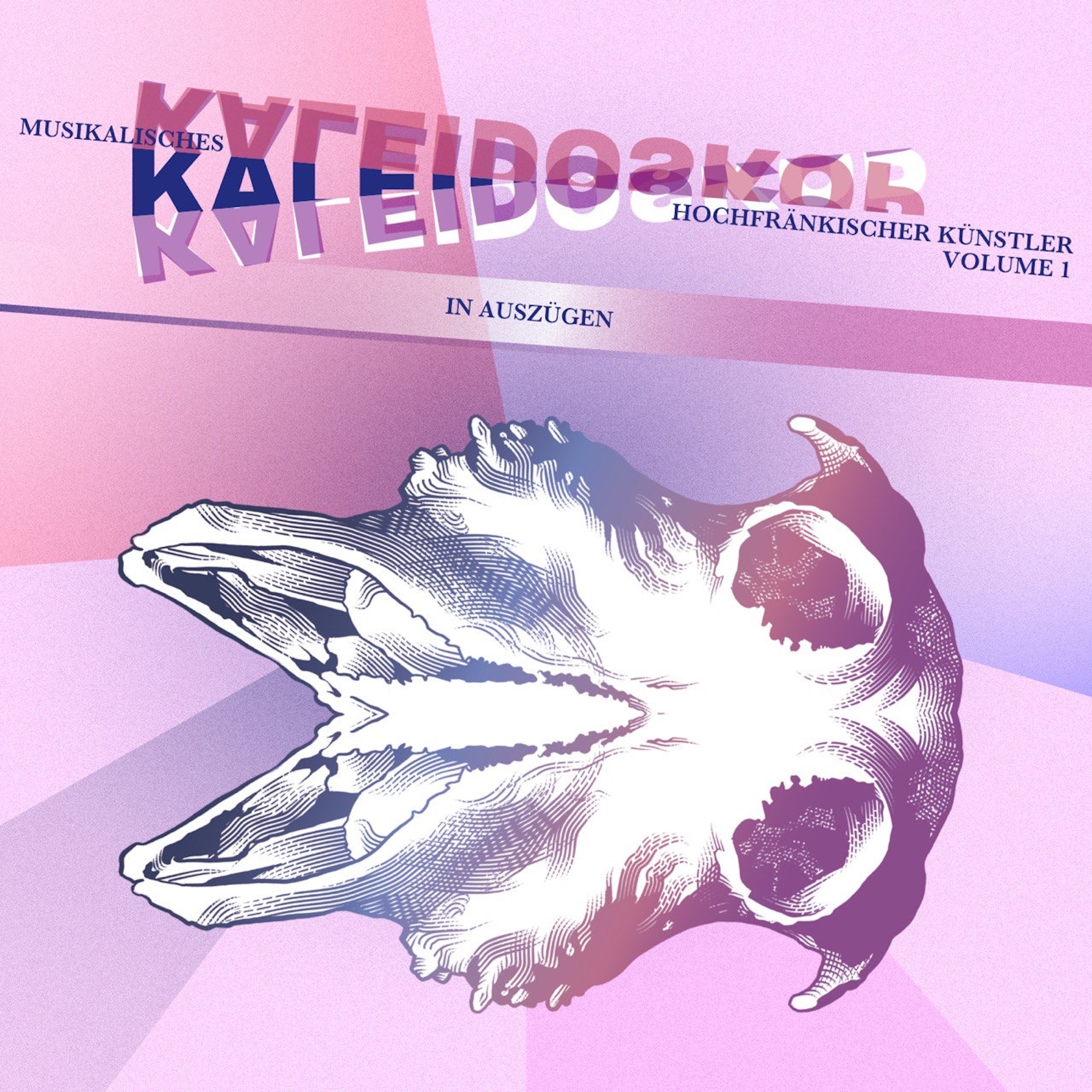 Musikalisches KALEIDOSKOP Hochfränkischer Künstler, Vol. 1 (In Auszügen)