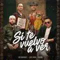 si te vuelvo a ver