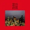Bonnie "Prince" Billy - This Is Far From Over
