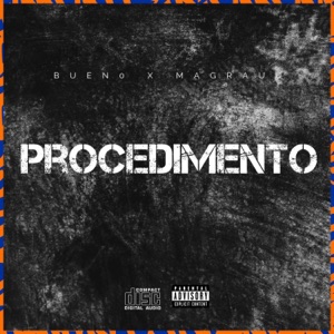 Procedimento