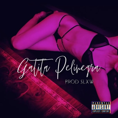 Gatita Pelinegra (feat. Xolity & Iccy Boy) - Single