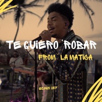 Te Quiero Robar (From La Matica) - Single - Edwin Jay