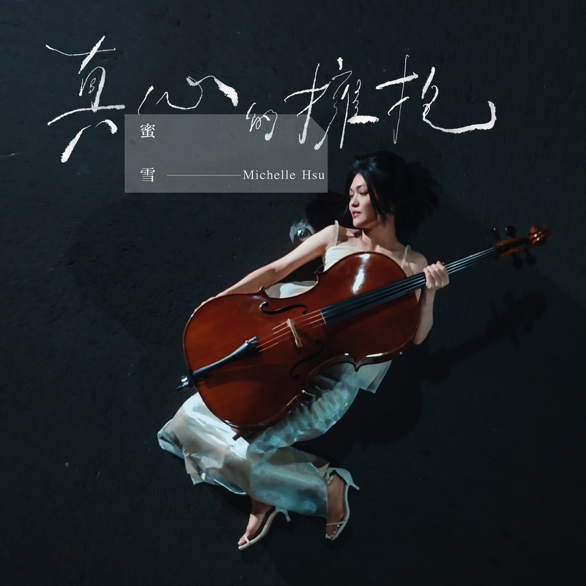 蜜雪 Michelle Hsu - 真心的擁抱 - Single (2025) [iTunes Plus AAC M4A]-新房子