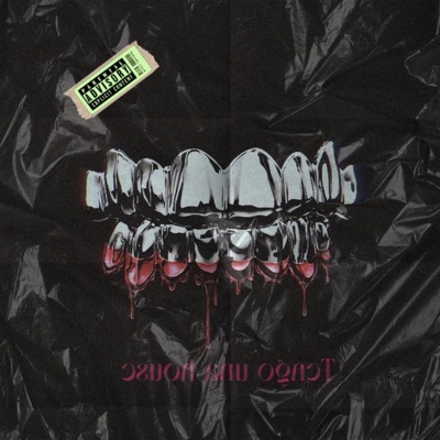 TENGO UNA HOE - Single