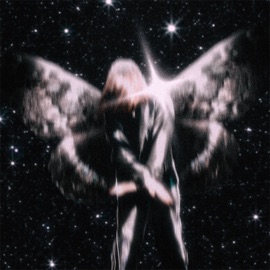 Синдром спасателя YOUNG LARI