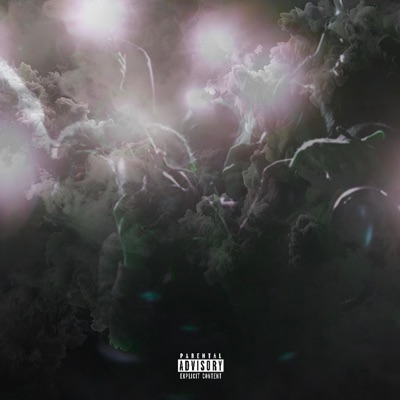 Viral (feat. LilHomie Flip) - Single