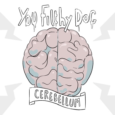 Cerebellum - Single