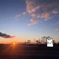 lose me now (feat. riensu) - Single - nicopatty