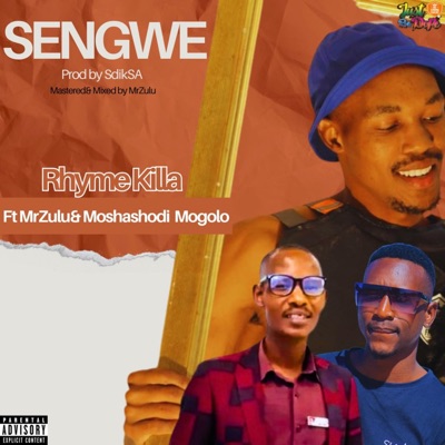Sengwe (feat. Moshashodi Mogolo & MrZulu) - Single