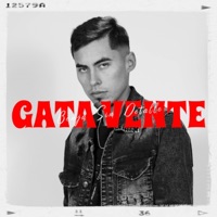 Gata Vente - Single - Benja sin detalle