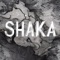 Shaka (Afro House) - DJ R Flame lyrics