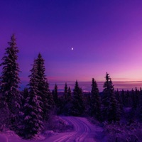 so wie sie - Single - Yung OS