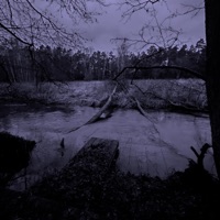 im fine (i'm probably crying) - Single - empty.wav