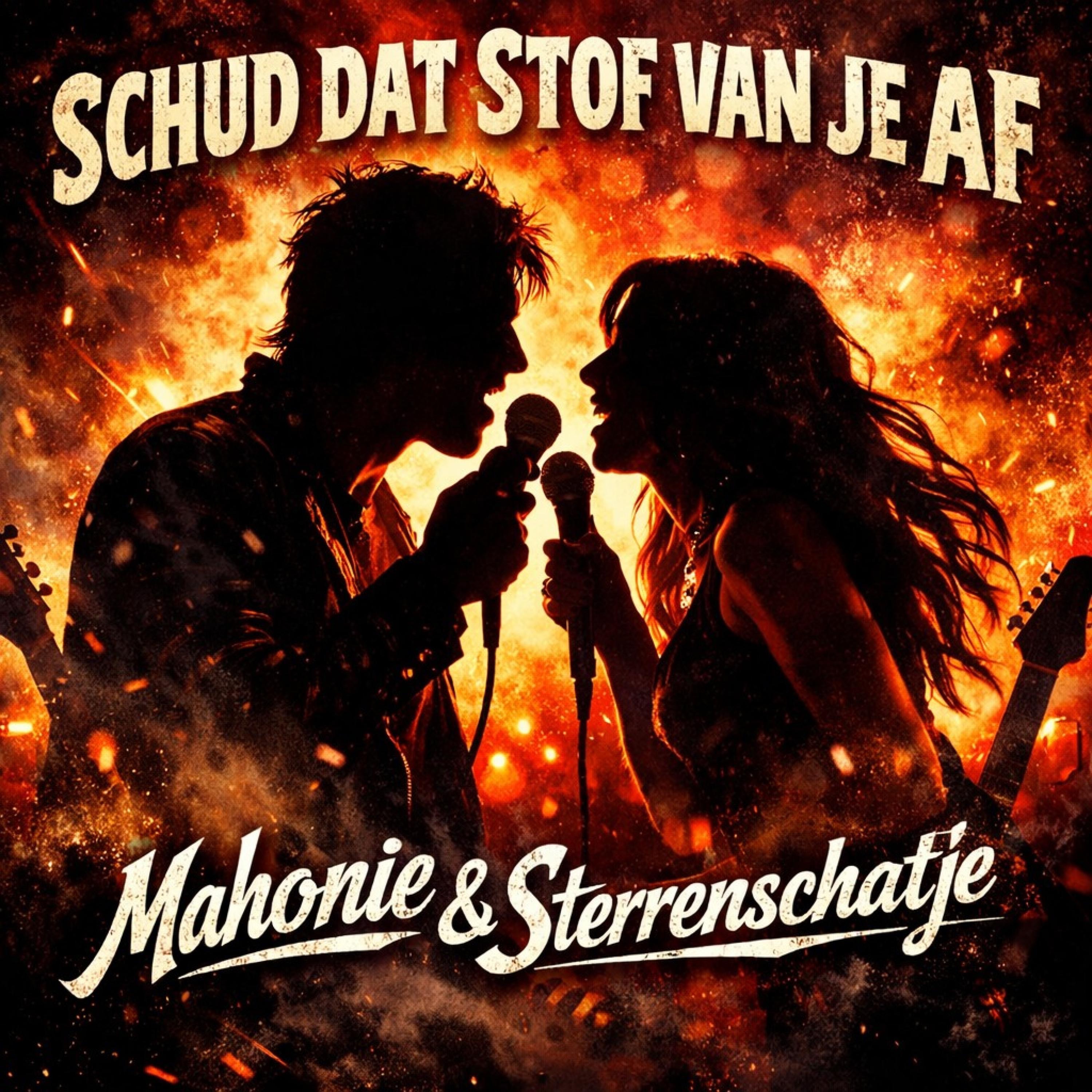 Schud Dat Stof Van Je Af - Single
