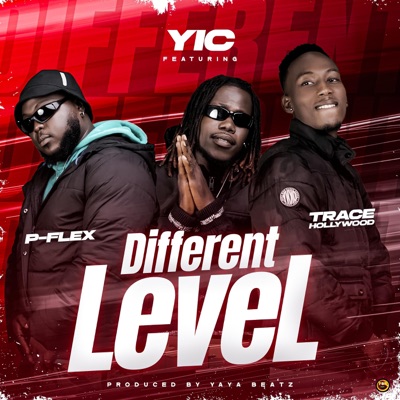 Different Level (feat. P.Flex & Trace Hollywood) - Single