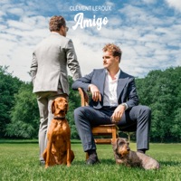 Amigo
