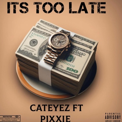 ITS TOO LATE (Radio Edit) - Single