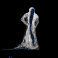 لم يسألوا ماذا وراء الموت (محمود درويش) - Single - Foljad