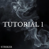 Tutorial 1 - Single - Striker