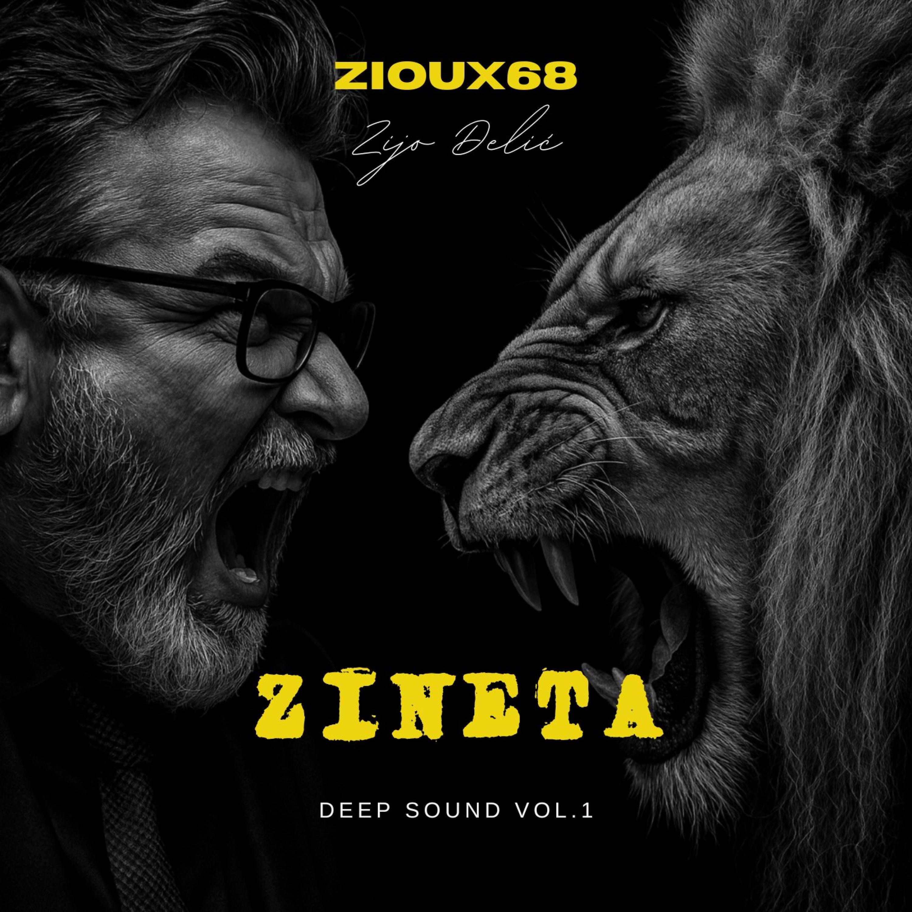 Zineta - Single