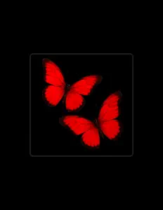 Posłuchaj wykonawcy MAKUS, obejrzyj teledyski, przeczytaj biografię, zobacz daty tras koncertowych i nie tylko!