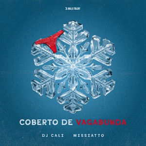 COBERTO DE VAGABUNDA