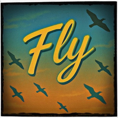Fly - Single