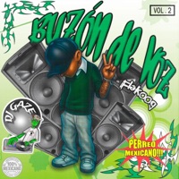 Buzón de voz (feat. Gaze) - Single - Flak00g