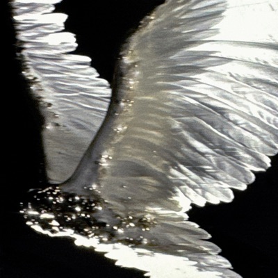 DJ Boys Chamber / Sca Life - Single