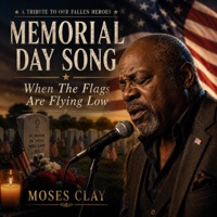 When The Flags Are Flying Low - Single - Old Blues Souls