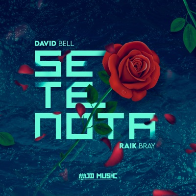 Se Te Nota - Single