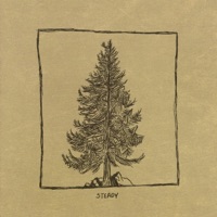 Steady - Single - Henrik