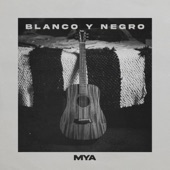 BLANCO Y NEGRO artwork