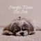 Puppy Sleep - Peaceful Music For Pets lyrics