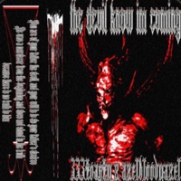 the devil know im comin (feat. AXELBLOODYAXEL) - Single - 333Toast