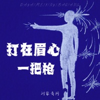 打在眉心一把枪 - Single - Liu Jiaqi Ah