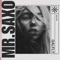 MR.SAXO - Single - GALFLY